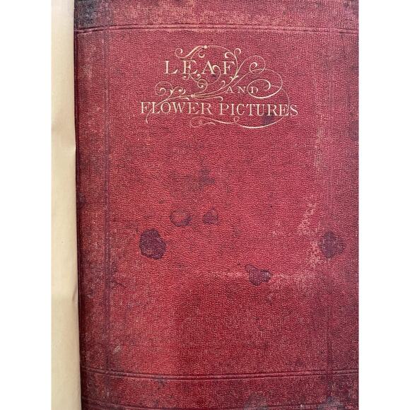 Vintage!! Leaf and Flower Pictures and How to Make Them from 1860 - Picture 7 of 8